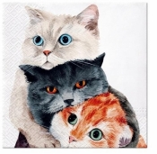 Serwetki Koty 33x33cm 20szt