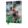 Pamiętnik z kłódką 80 kartek - Football