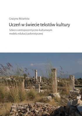 Uczeń w świecie tekstów kultury - Różańska Grażyna<br />