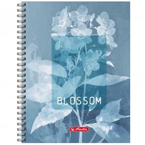 Kołozeszyt Herlitz Standard Blossom A5/80k kratka, 1 szt