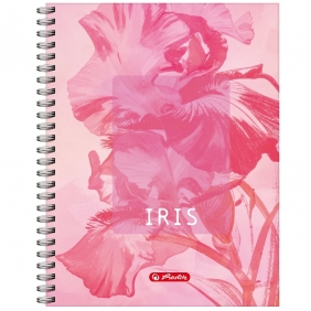 Kołozeszyt Herlitz Standard Blossom A5/80k kratka, 1 szt