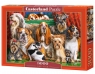  Puzzle 3000: Dog Club (C-300501)