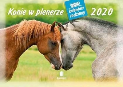 Kalendarz 2020 Rodzinny Konie w plenerze WL10