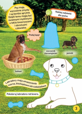 1000 naklejek. Psy. National Geographic Kids. - Opracowanie zbiorowe