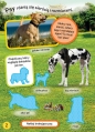 1000 naklejek. Psy. National Geographic Kids. - Opracowanie zbiorowe