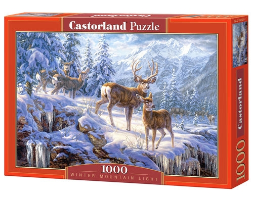 Puzzle Winter mountain light 1000 (C-102501)