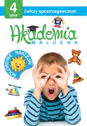Akademia malucha 4-latek ćwiczy spostrzegawczość