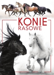 Konie rasowe - Patrycja Zarawska