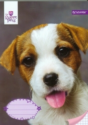 Zeszyt A5 Sweet Pets w kratkę 32 kartki Pies - <br />