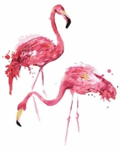 Obraz Malowanie po numerach - Flamingi (GX3771)