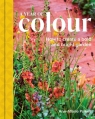 A Year of Colour Ann-Marie Powell