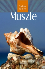 Muszle