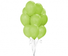 Balon gumowy Godan BALON PASTEL pastelowy zielona 26 cm (G90/11/10)