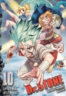  Dr. Stone. Tom 10