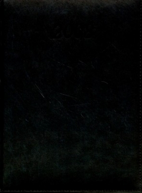 Kalendarz 2008. Menager A4 (Kratka)