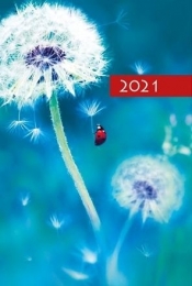 Terminarz 2021 B7 Mały Kolorowy Dmuchawiec