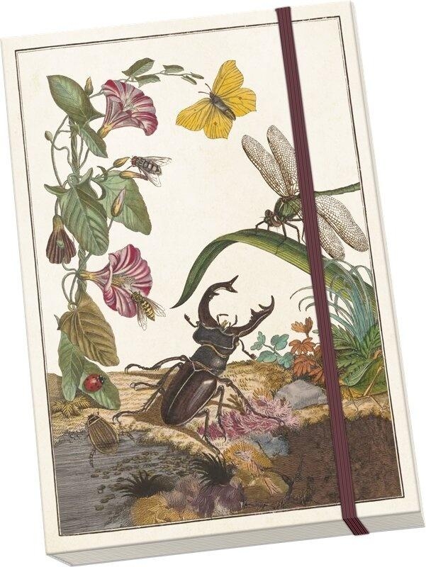 <img src='https://webimage.pl/pics/502/9/d7340117749502.jpg'>