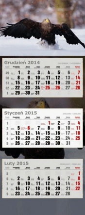 Kalendarz Trójdzielny Duży 2015 orzeł - <br />
