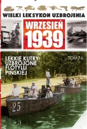 Lekkie kutry uzbrojone i kutry meldunkowe Flotylli Pińskiej - <br />
