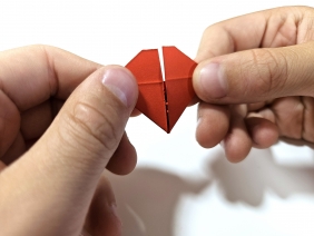 Origami 3D - Ważki