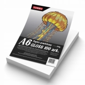 Papier kredowy powlekany A6 350 g/m gloss 100 ark