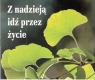 Z nadzieją idź przez życie. Perełka 196