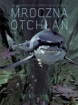 Mroczna otchłań. Tom 1 - Christophe Bec