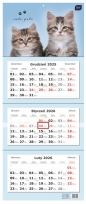 Kalendarz trójdzielny 2026 - Koty