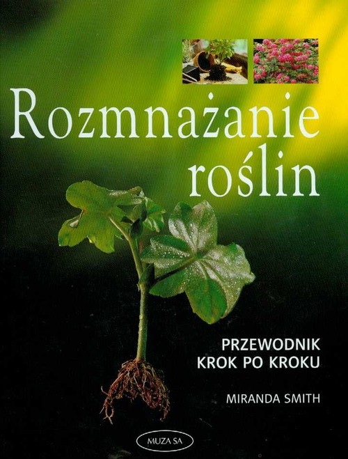 Rozmnażanie roślin przewodnik krok po kroku