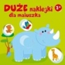 Duże naklejki dla maluszka - nosorożec 3+ Opracowanie zbiorowe