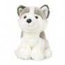 WWF Husky 15 cm