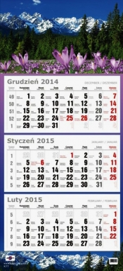 Kalendarz Trójdzielny Płaski 2015 krokusy - <br />
