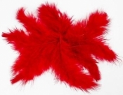 Piórka 10g