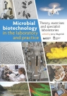 Microbial biotechnology in the laboratory and practiceTheory, exercises