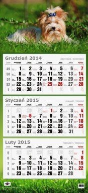 Kalendarz Trójdzielny Płaski 2015 pies - <br />