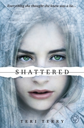 Shattered - Terry Teri
