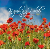 Kalendarz 2023 Krajobrazy Polski
