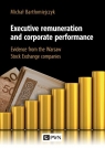 Executive remuneration and corporate performance