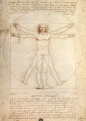 Puzzle 1000: Da Vinci Człowiek (152506)