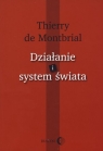 Działanie i system świata de Montbrial Thierry