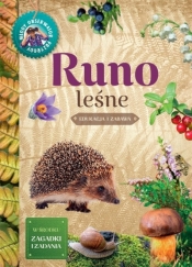Młody Obserwator Przyrody. Runo leśne - Tomasz Hryniewicki
