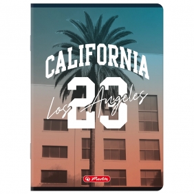 Zeszyt Herlitz A5/60k kratka z marginesem, 1 szt