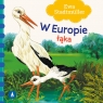  W Europie. Łąka