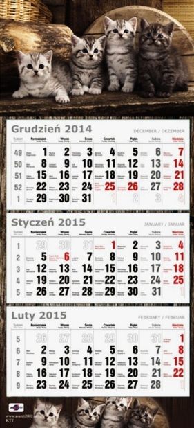 Kalendarz Trójdzielny Płaski 2015 koty - <br />