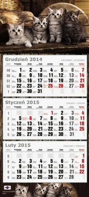 Kalendarz Trójdzielny Płaski 2015 koty - <br />