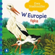 W Europie. Łąka - Ewa Stadtmüller