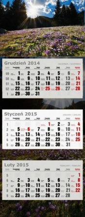 Kalendarz Trójdzielny Duży 2015 krokusowa łąka - <br />