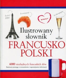 Ilustrowany słownik francusko-polski - Woźniak Tadeusz