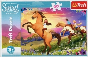 Puzzle 30: Duch wolności (18250)