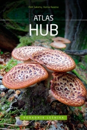 Atlas hub - Hanna Kwaśna, Piotr Łakomy